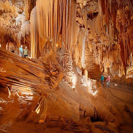 Luray Caverns Motels Oda fotoğraf